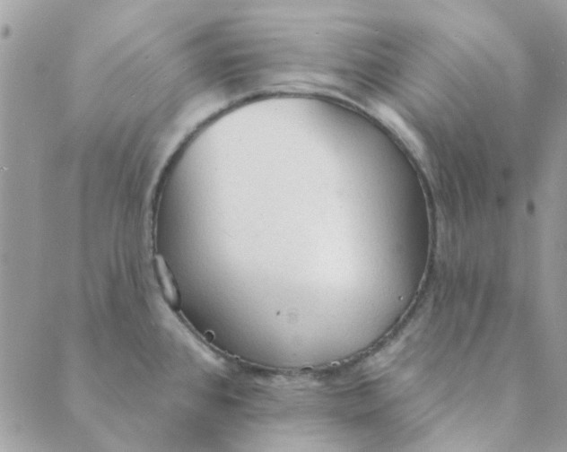 X0000089381384200707061128