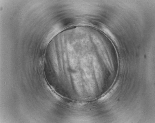 X0000089381385200707061128