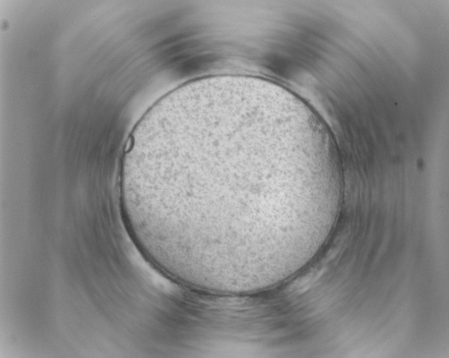 X0000089381387200707061128