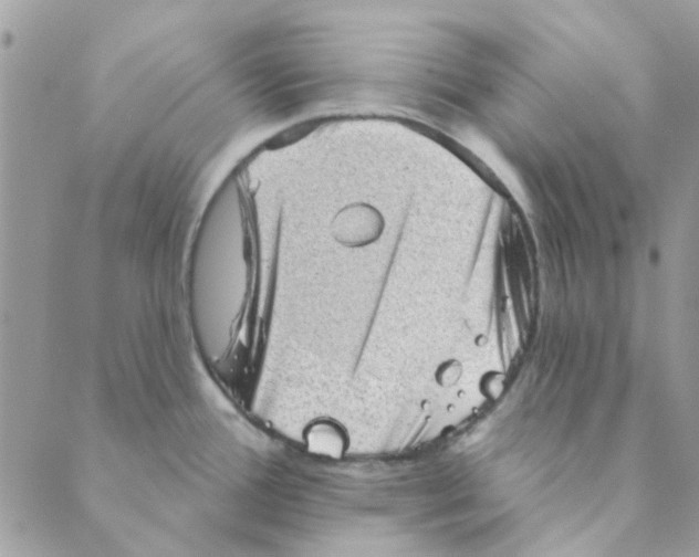 X0000089381388200707061128