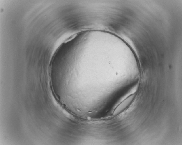 X0000089381389200707061128