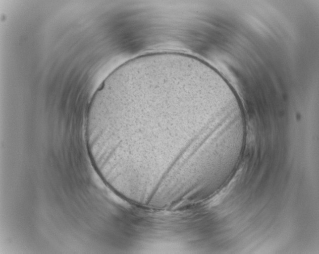 X0000089381390200707061128