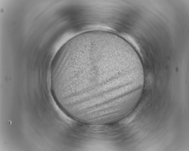 X0000089381391200707061128