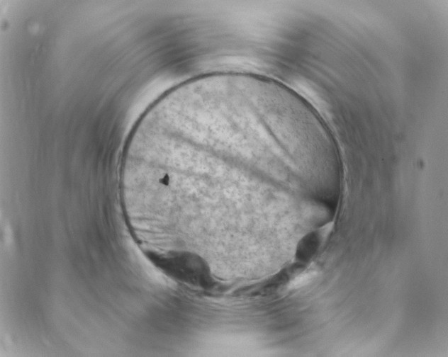 X0000089381392200707061128