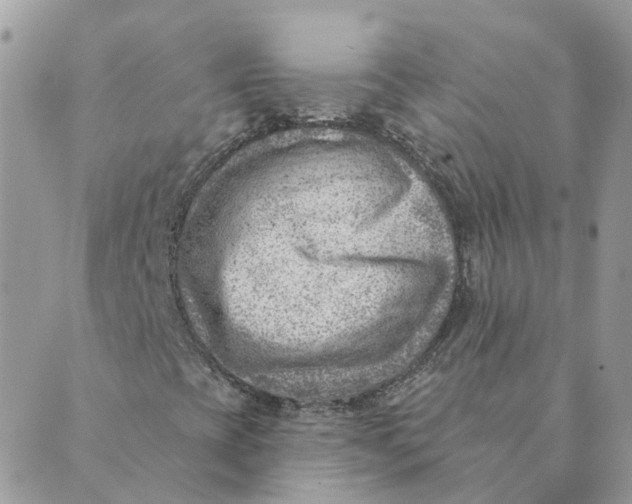 X0000089381393200707061127