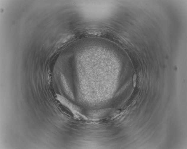 X0000089381394200707061127