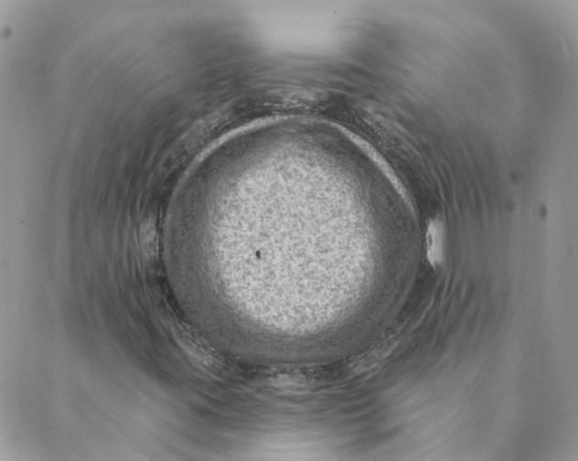 X0000089381395200707061127