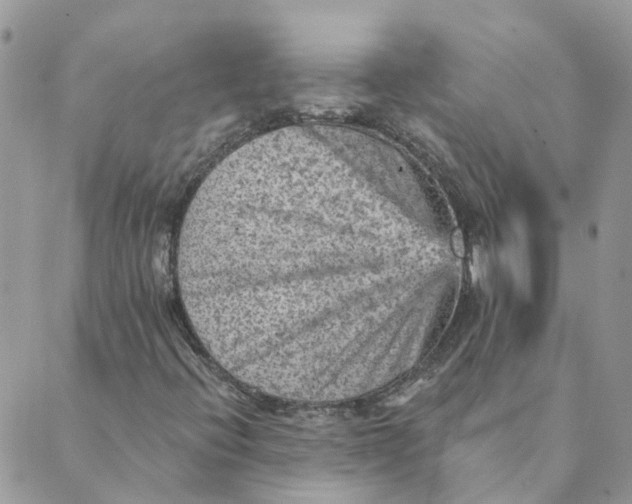 X0000089381396200707061127