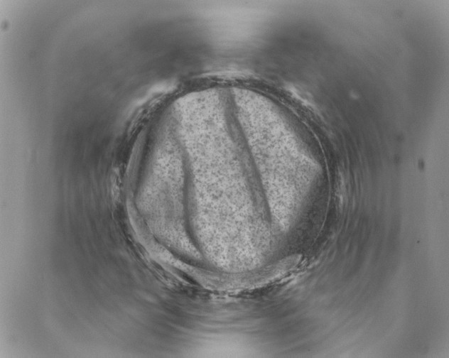 X0000089381398200707061127