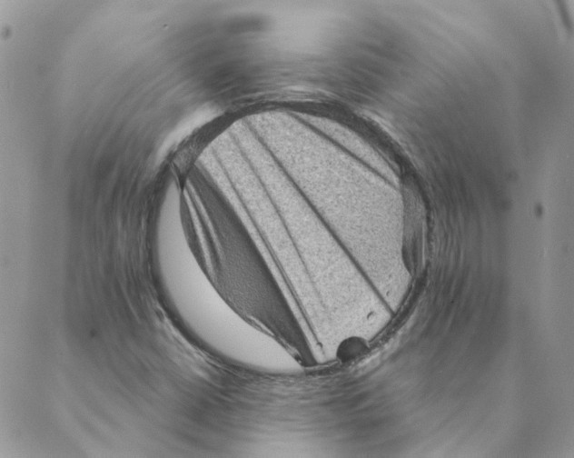 X0000089381402200707061127