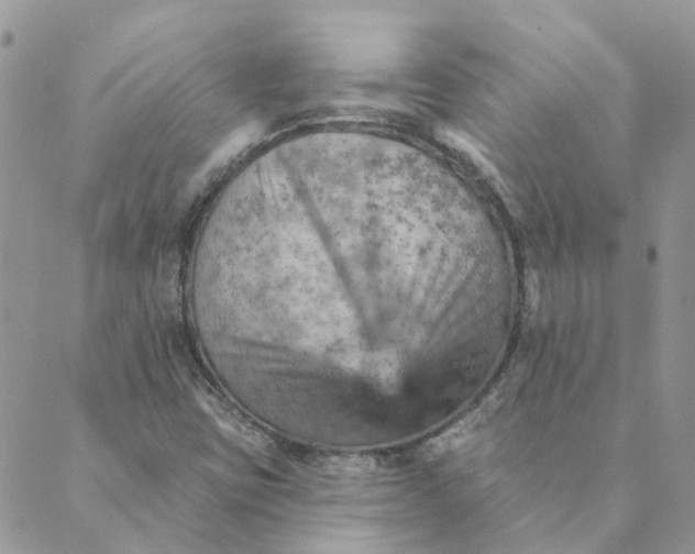 X0000089381403200707061127