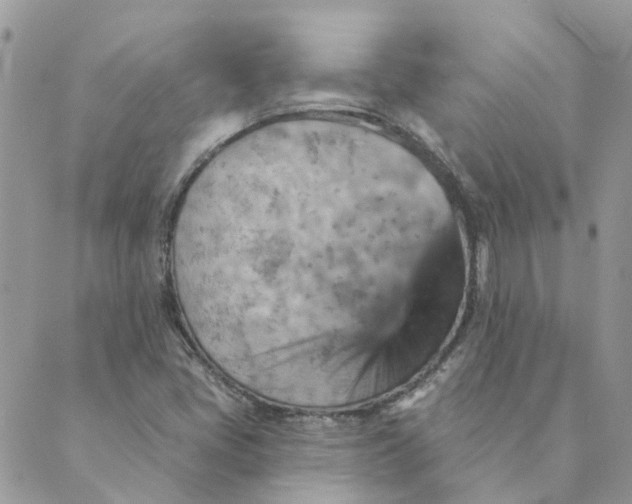 X0000089381405200707061127