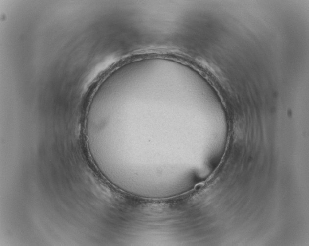 X0000089381406200707061127