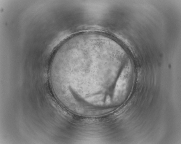 X0000089381407200707061127