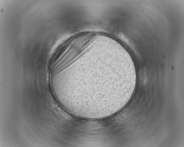 X0000089381408200707061127