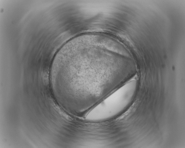 X0000089381409200707061127