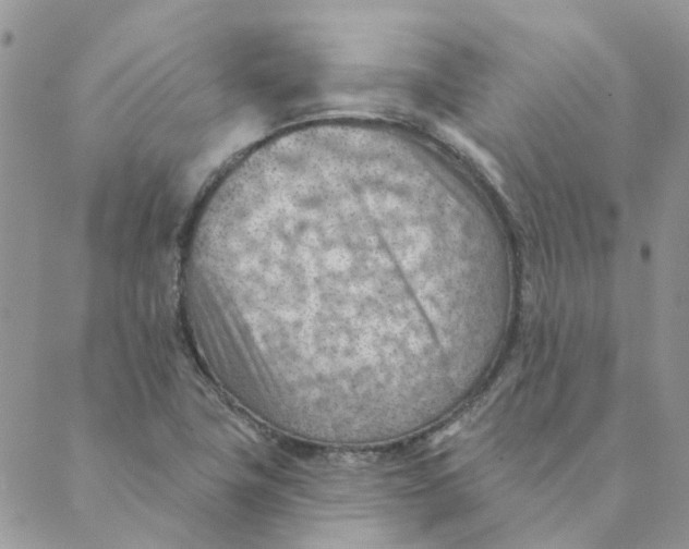 X0000089381411200707061127