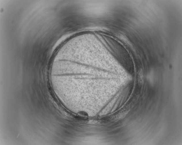 X0000089381412200707061127