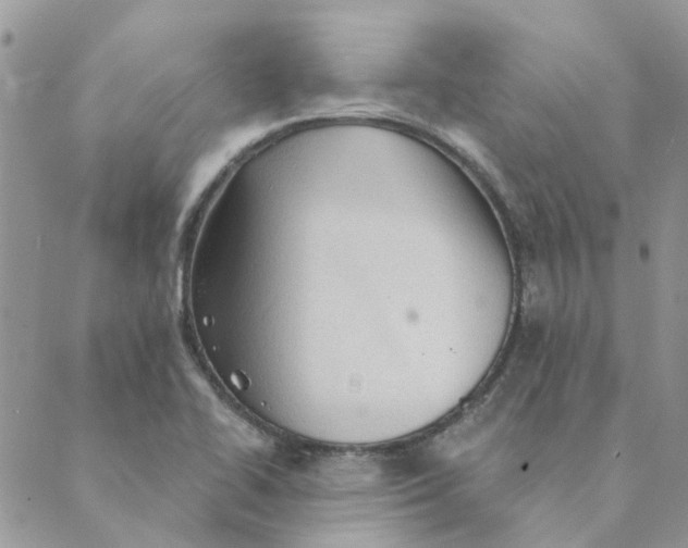 X0000089381414200707061128