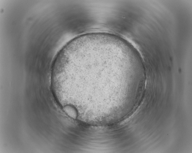 X0000089381415200707061128