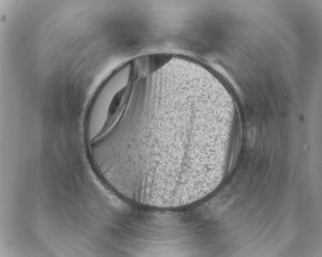 X0000089381416200707061128