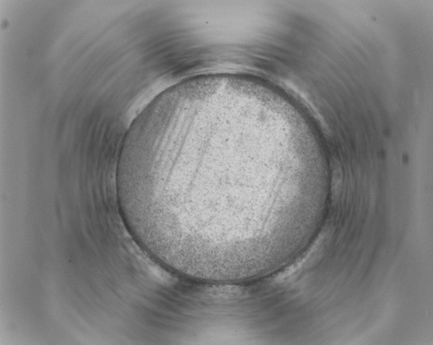 X0000089381417200707061128