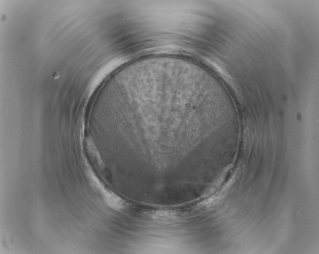 X0000089381418200707061128