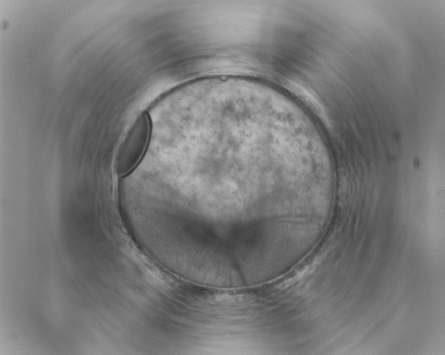 X0000089381419200707061128