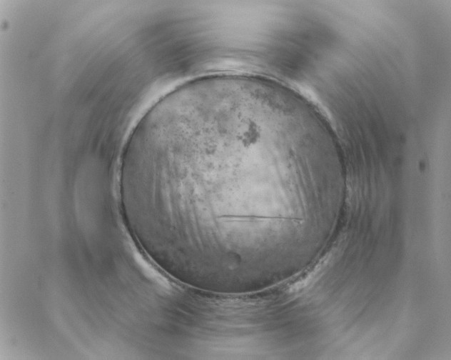 X0000089381421200707061128