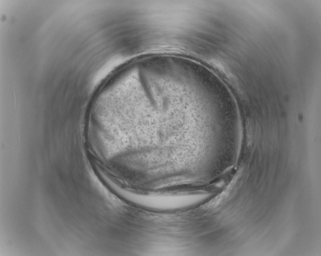 X0000089381422200707061128