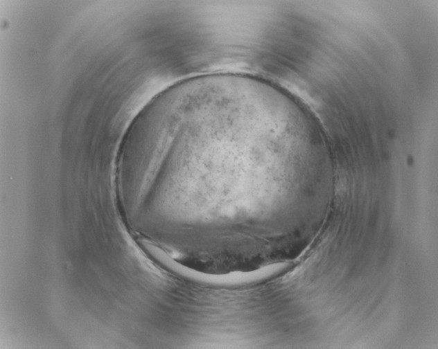 X0000089381423200707061128