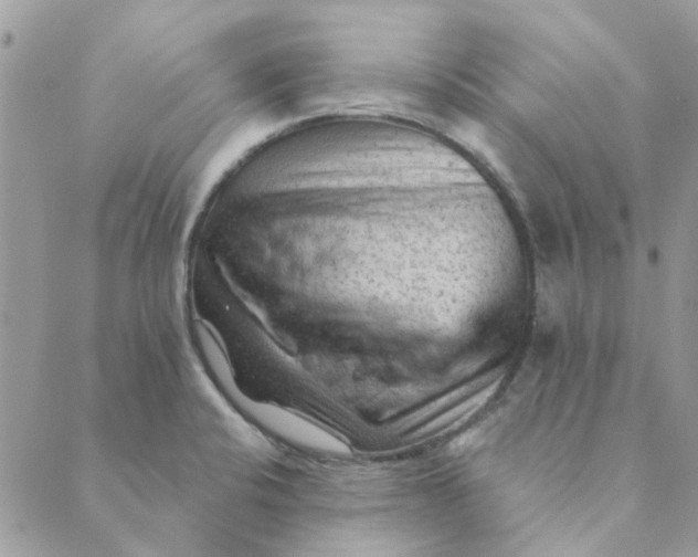 X0000089381424200707061128