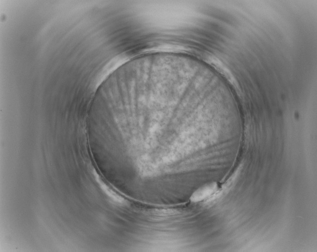 X0000089381425200707061128