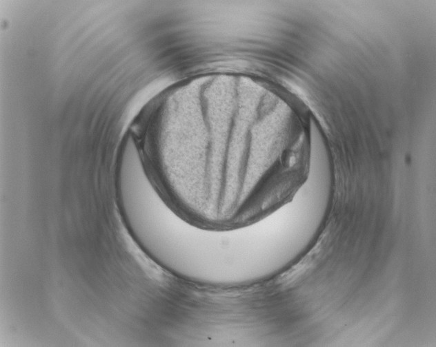 X0000089381426200707061128