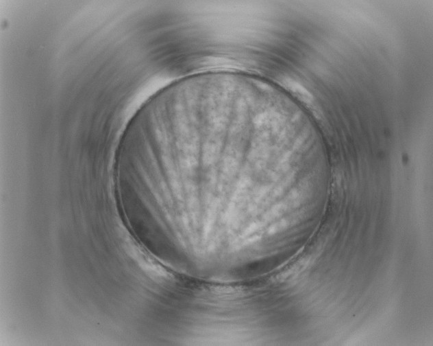 X0000089381427200707061128