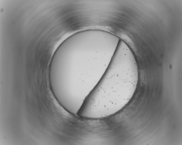 X0000089381428200707061128