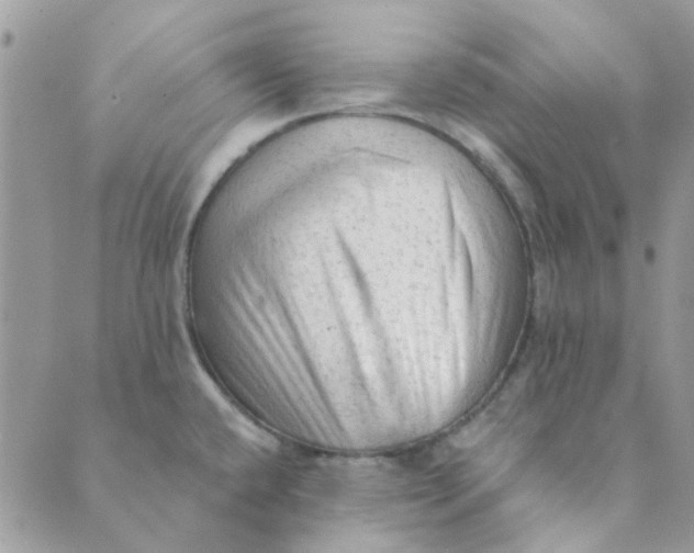 X0000089381432200707061128