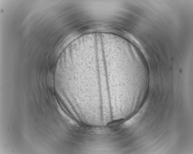 X0000089381433200707061128