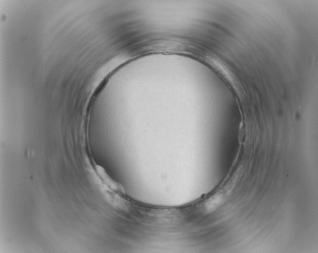 X0000089381434200707061128