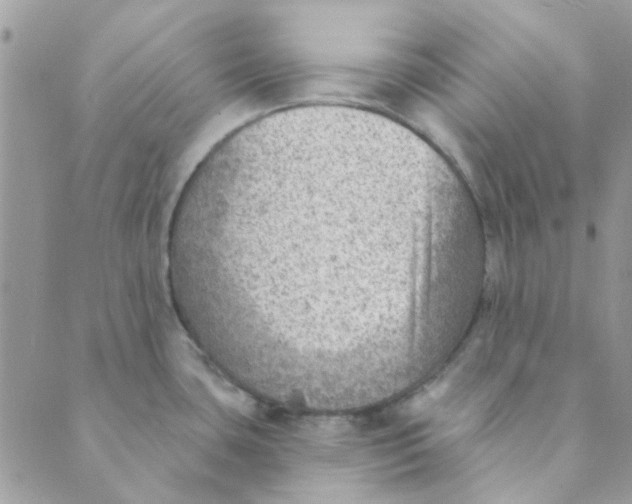 X0000089381435200707061128