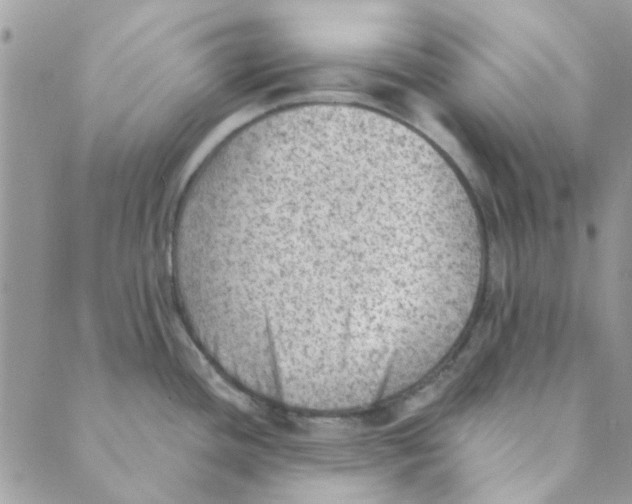 X0000089381436200707061128