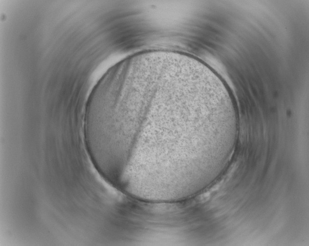 X0000089381437200707061128