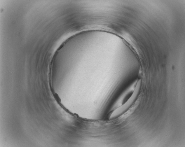 X0000089381438200707061128