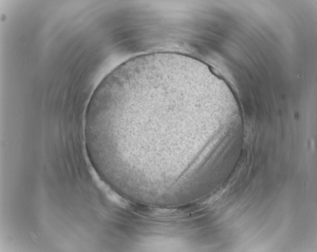 X0000089381439200707061128