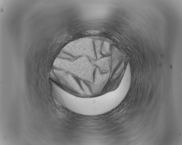 X0000089381441200707061127