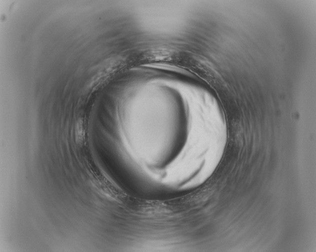 X0000089381442200707061127