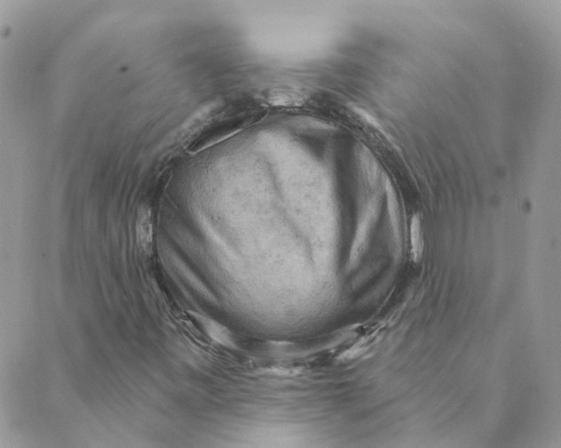 X0000089381443200707061127