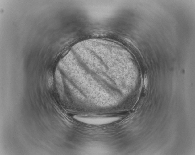 X0000089381444200707061127