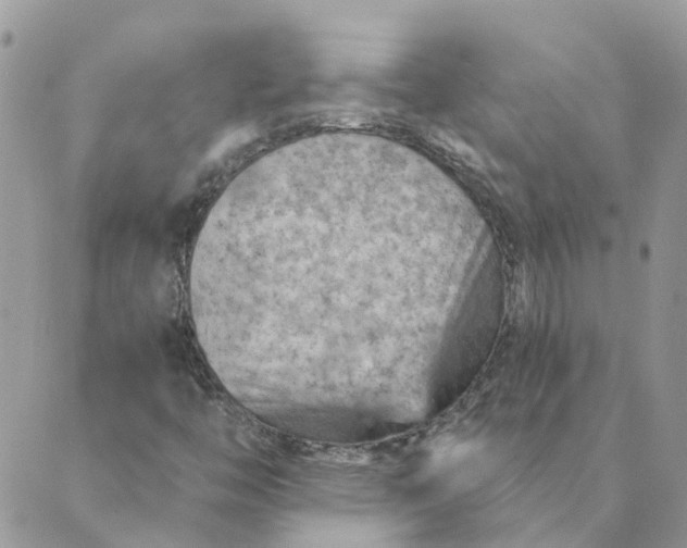 X0000089381446200707061127