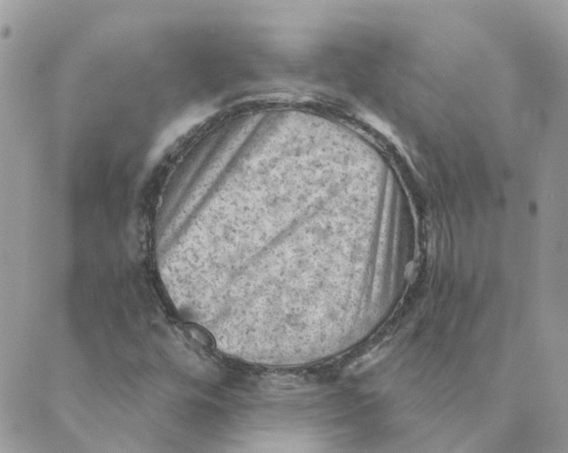 X0000089381448200707061127